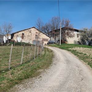 Rustico/Casale In Vendita a Scandiano